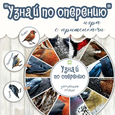 Игра с прищепками Узнай по оперению Зимующие птицы