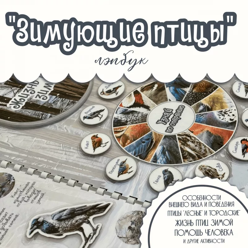Лэпбук Зимующие птицы