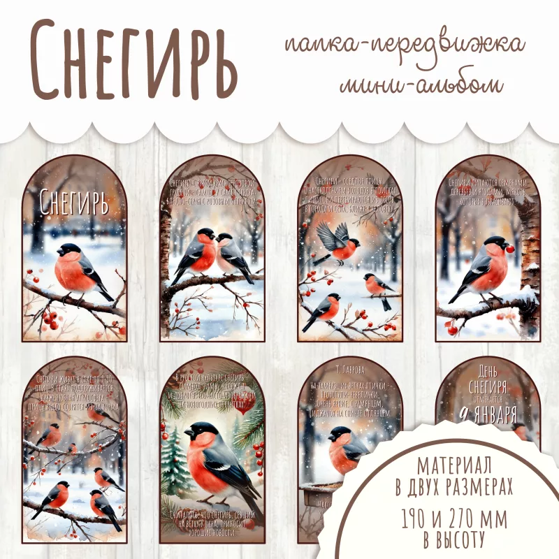 Папка-передвижка Снегирь
