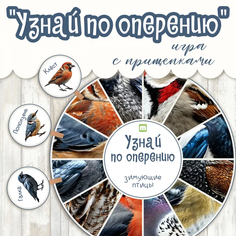 Игра с прищепками Узнай по оперению Зимующие птицы