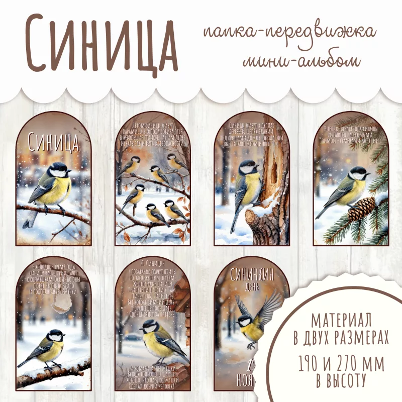 Папка-передвижка Синица