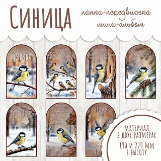 Папка-передвижка Синица