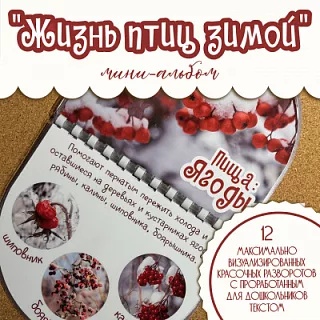 Мини-альбом Жизнь птиц зимой