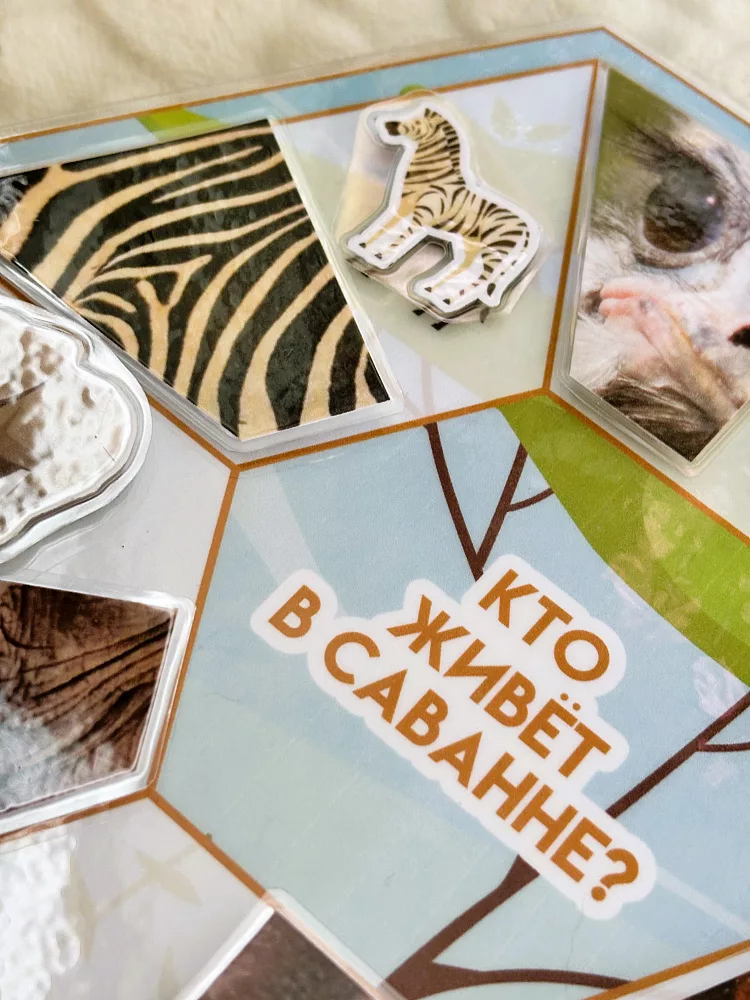 Дидактические игры Зоопарк - лэпбук трансформер — фото 33