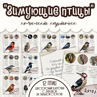 Комплект материалов Зимующие птицы